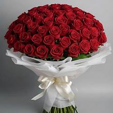 Букет 101 Красная роза Блэк Мэджик в Шугарово