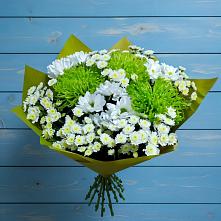 Букет цветов из:  Хризантемы #REPLACE_PRED# Шугарово