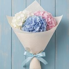 Букет цветов из:  Гортензия в Шугарово