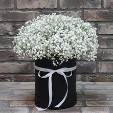 Цветочная композиция из Гипсофила в шляпной коробке в Шугарово