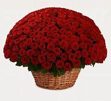 Премиум букет из: Розы #REPLACE_PRED# Шугарово