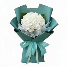 Букет цветов из:  Гортензия #REPLACE_PRED# Шугарово